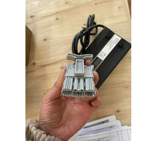 Зарядное устройство для тележек CBD20W-II 48/5A (Charger)