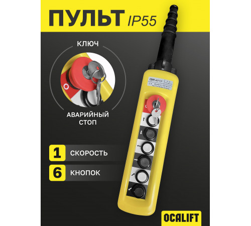 Пульт управления 6 кнопок 1 скорость, стоп, ключ, для кран балки, IP55 (A6713Y)